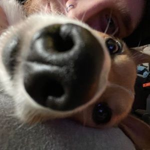 Meet your Posher, Jordan